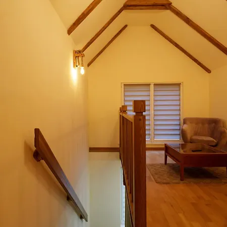 Apartment The Cozy Nook - Ultra Brasov